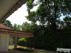 Morley Road (D10), Detached #458526841